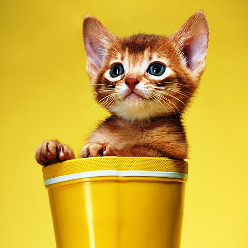 Hd-142649-ascw142649