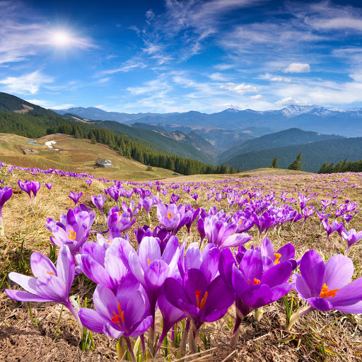 Hd-179749-ascw179749