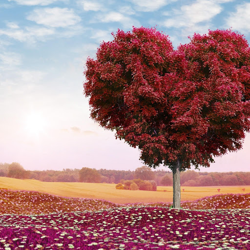 Hd-177980-ascw177980