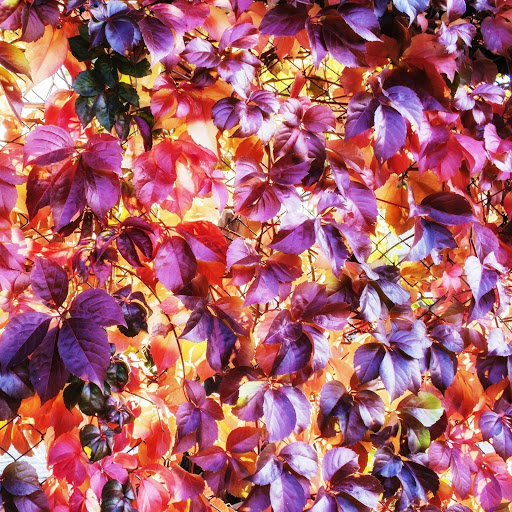 Hd-142239-ascw142239