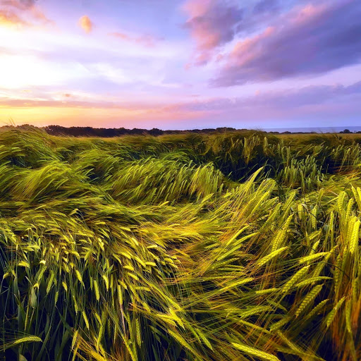 Hd-149132-ascw149132