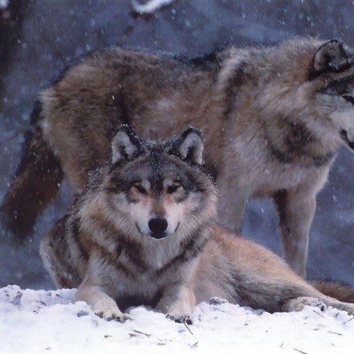 Hd-173495-ascw173495