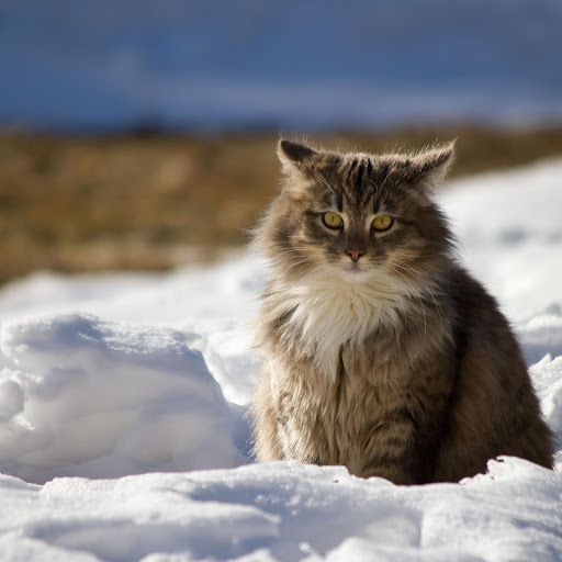 Hd-171796-ascw171796