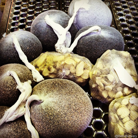 [image%255B5%255D.png]