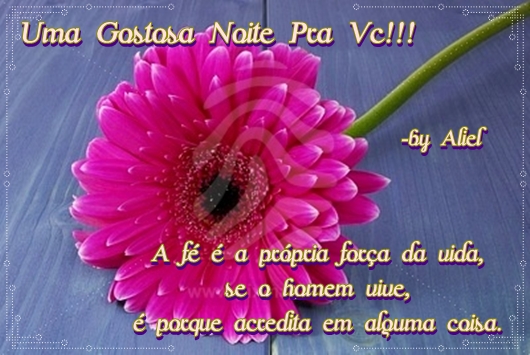by%252520aliell.jpg
