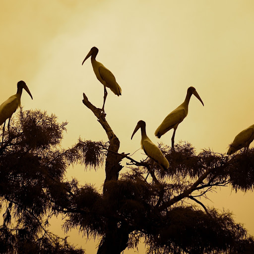 Hd-164978-ascw164978