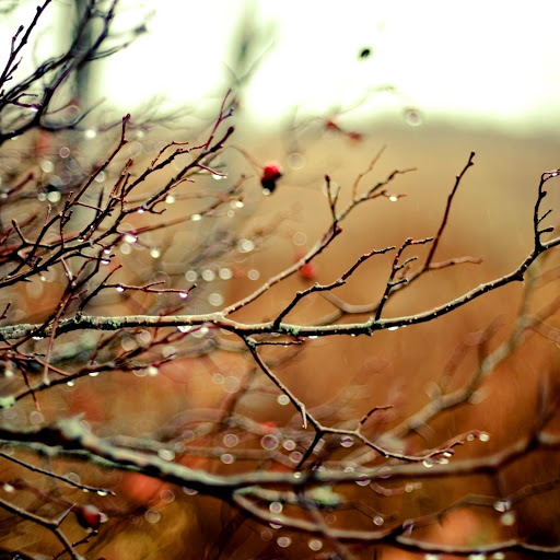 Hd-150722-ascw150722