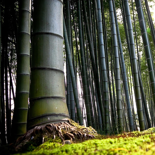 Hd-182652-ascw182652