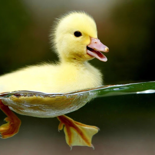 Hd-157934-ascw157934