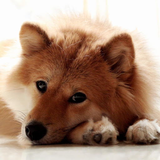 Hd-166308-ascw166308