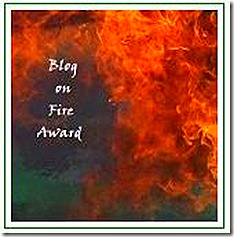 Blog on Fire Award