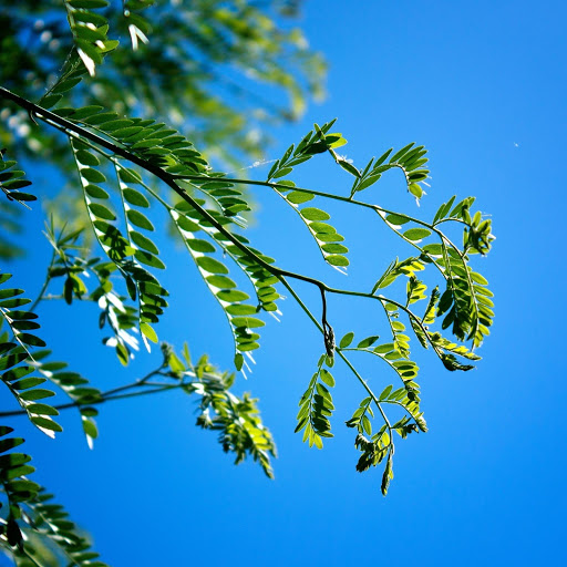 Hd-174503-ascw174503