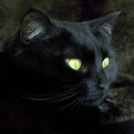 Hd-134404-ascw134404