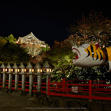 朝護孫子寺,紅葉(PK3_0213,F8,16mm,K3)2014yaotomi_.jpg