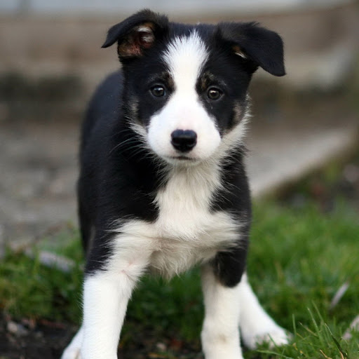 Hd-180649-ascw180649