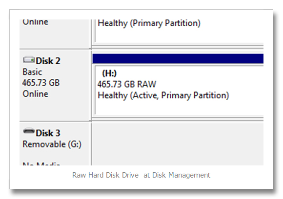 Raw Disk Drive Error