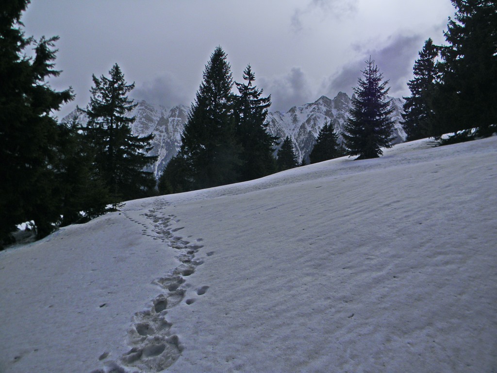 [DSCN64453.jpg]