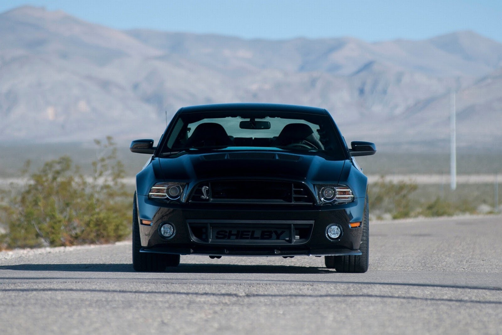 [Mustang-GT1000-3%255B3%255D%255B3%255D.jpg]