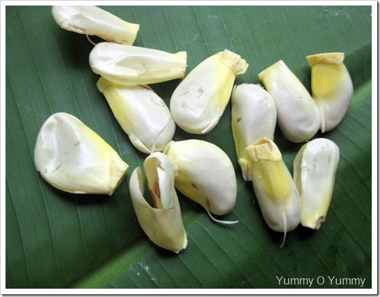 Outer covering of jackfruit seeds