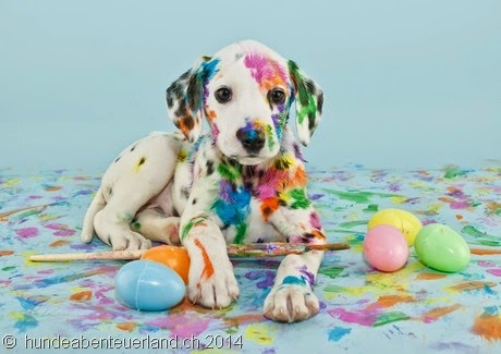[column_cute-picture-of-a-dalmatian-puppy-painting-easter-eggs%255B3%255D.jpg]