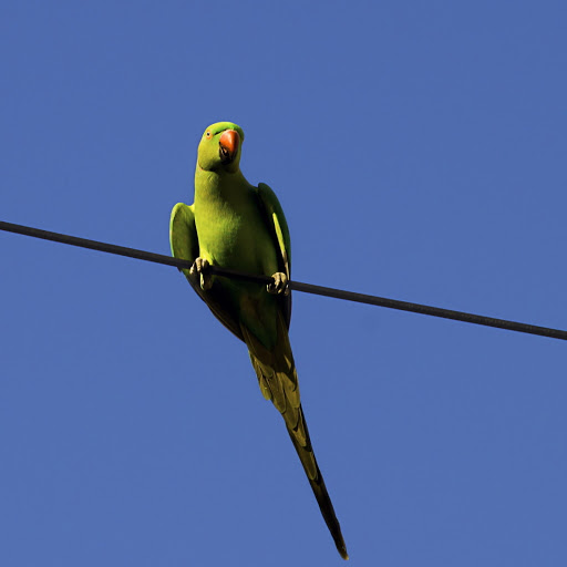 Hd-181268-ascw181268