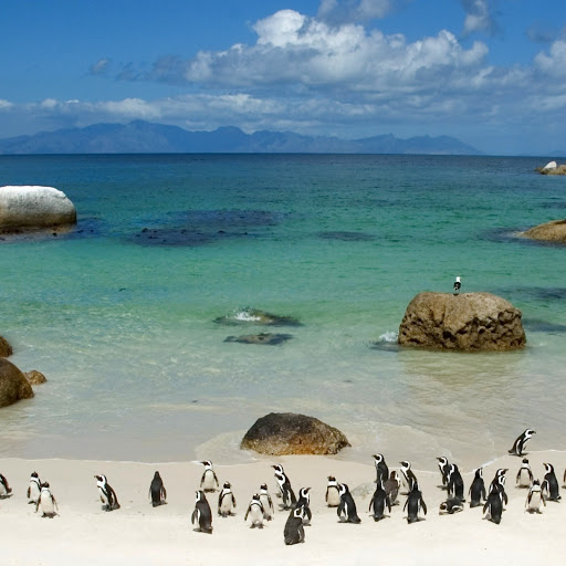 Hd-132887-ascw132887