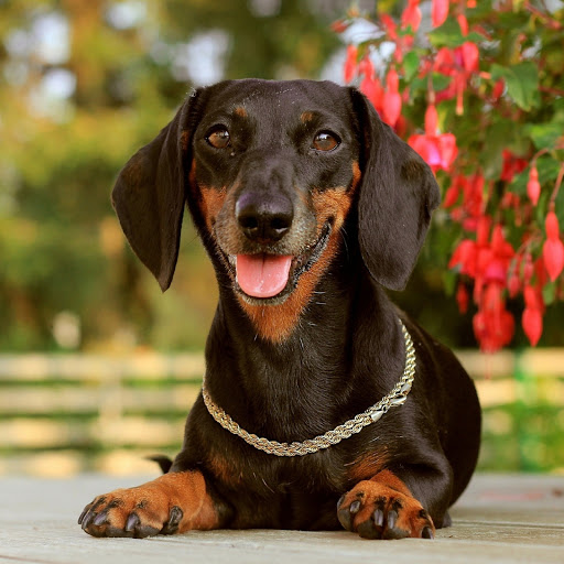 Hd-185642-ascw185642