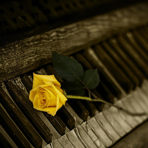 Hd-185982-ascw185982