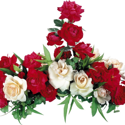 Hd-160810-ascw160810