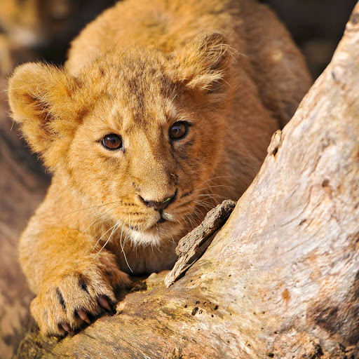 Hd-157173-ascw157173