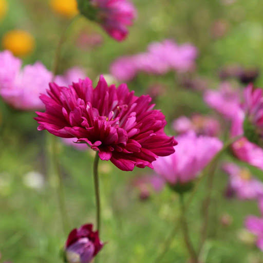 Hd-152665-ascw152665