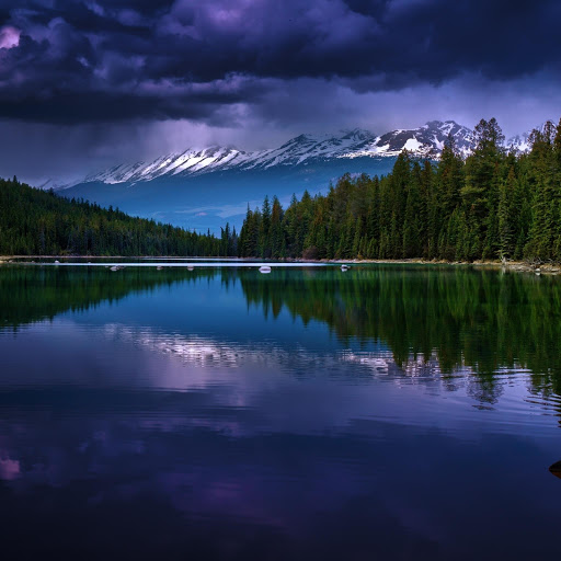 Hd-131510-ascw131510