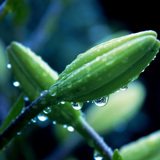 Hd-165345-ascw165345