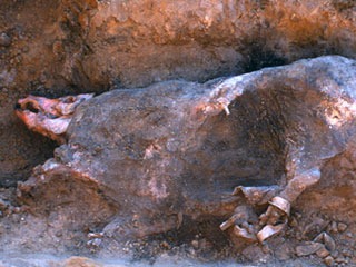 [clip_image008%255B8%255D.jpg]