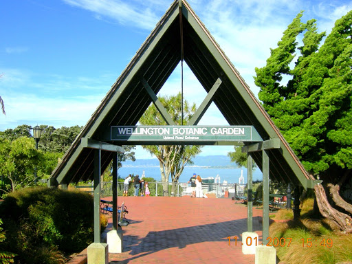In Maori the harbour is Te maori symbole