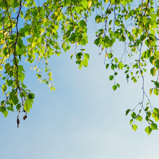 Hd-151228-ascw151228