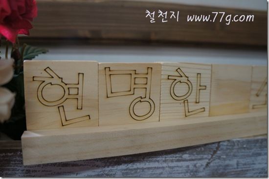 철천지DSC09026-20120903-131417