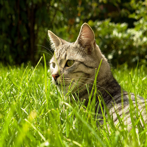 Hd-184579-ascw184579