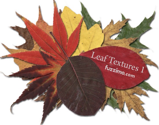 [fzm-Leaf-Textures-01%255B3%255D.jpg]