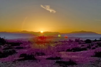 last sunset of 2013 in the desert