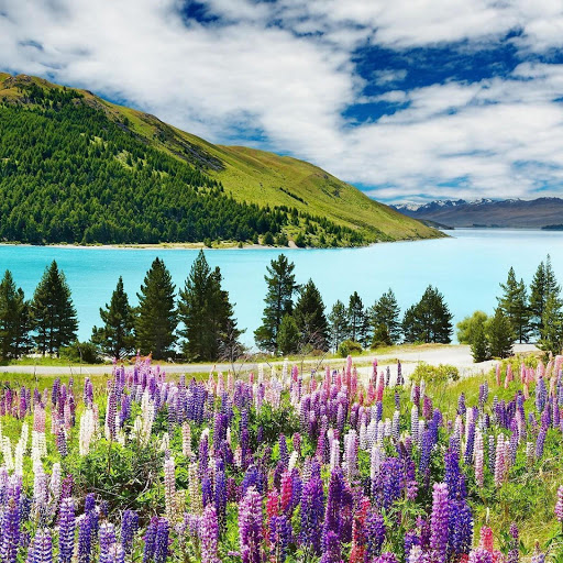 Hd-132502-ascw132502