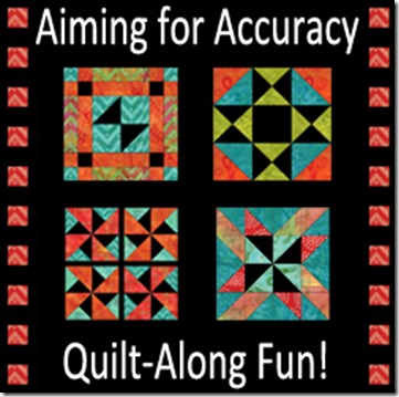 aiming-for-accuracy-qal-250