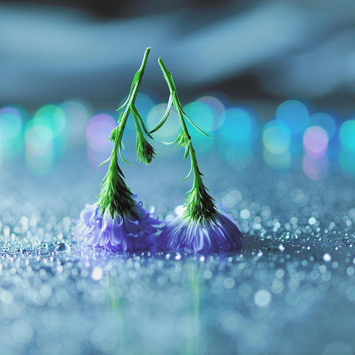 Hd-174910-ascw174910