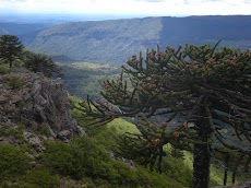 DSCN5423.JPG