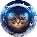 Daniel Culebras profile picture
