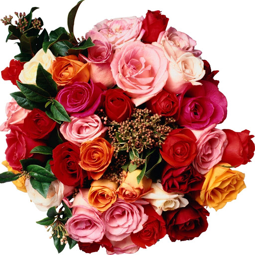 Hd-153332-ascw153332