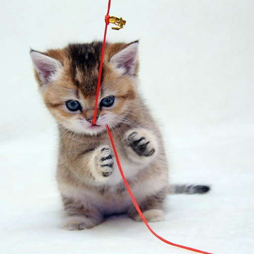 Hd-177643-ascw177643