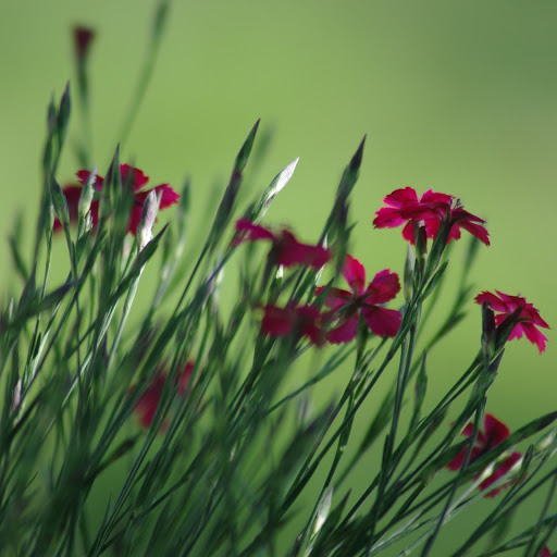 Hd-146466-ascw146466