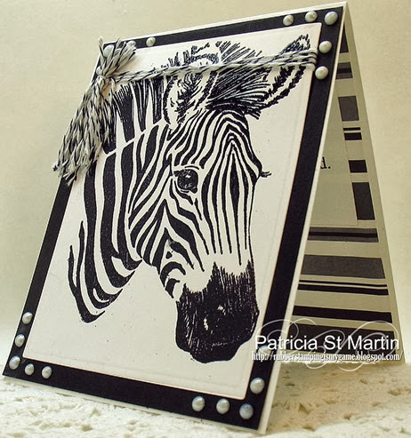 Gentle Zebra 2013  l