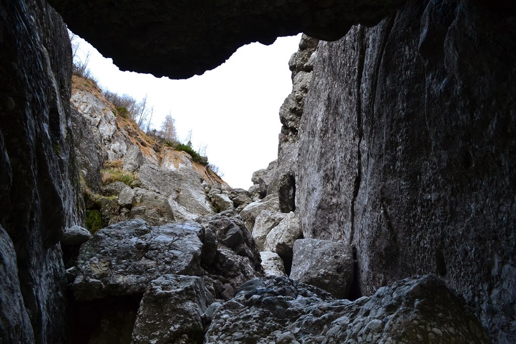 [DSC_02423.jpg]